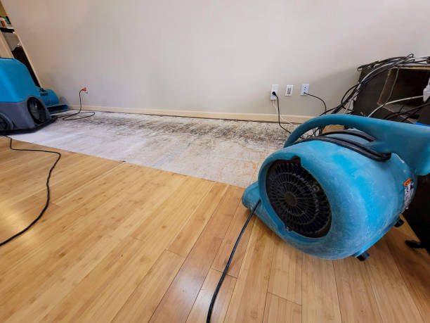 Professional Flood Damage Cleanup technician working in Greeneville, TN